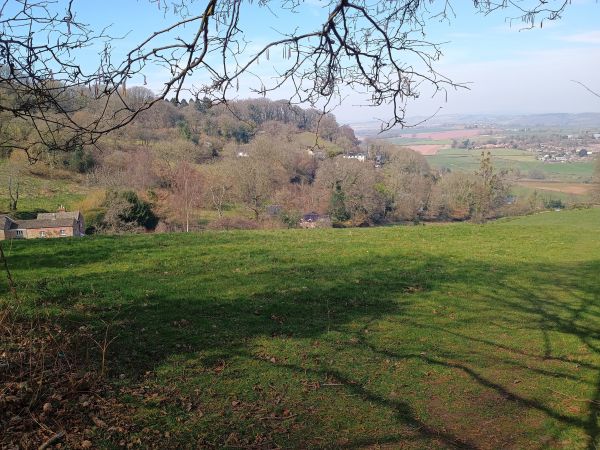 View north from Lining woods